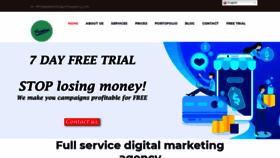 What Advertisingonlineagency.com website looked like in 2019 (4 years ago)