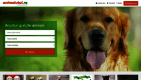 What Animalutul.ro website looked like in 2019 (4 years ago)