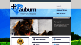 What Auburnveterinaryhospital.com website looked like in 2019 (4 years ago)