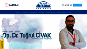 What Ailekonak.com website looked like in 2019 (4 years ago)