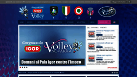 What Agilvolley.com website looked like in 2019 (4 years ago)