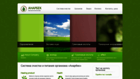 What Anarbek.com website looked like in 2019 (4 years ago)