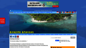 What Amazinganambas.com website looked like in 2019 (4 years ago)