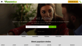 What Apprentus.nl website looked like in 2019 (4 years ago)