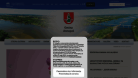 What Annopol.info website looked like in 2019 (4 years ago)