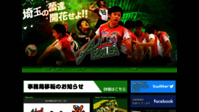 What Azalea-volleyball.org website looked like in 2019 (4 years ago)