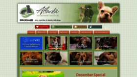 What Atlanticvetseattle.com website looked like in 2019 (4 years ago)