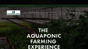 What Aquaponicfarmingexperience.com website looked like in 2019 (4 years ago)
