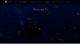 What Andamanocean.in website looked like in 2019 (4 years ago)