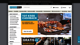What Allesvoorbbq.nl website looked like in 2019 (4 years ago)