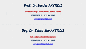 What Akyildiz.net website looked like in 2019 (4 years ago)