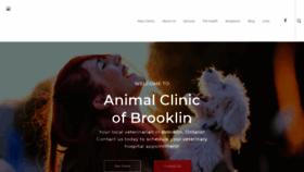 What Animalclinicbrooklin.com website looked like in 2019 (4 years ago)