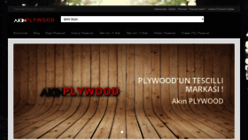 What Akinplywood.com website looked like in 2019 (4 years ago)