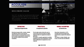 What Acculign.com website looked like in 2019 (4 years ago)
