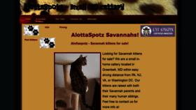 What Alottaspotz.com website looked like in 2019 (4 years ago)