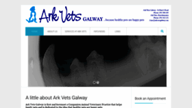 What Arkvetsgalway.com website looked like in 2019 (4 years ago)