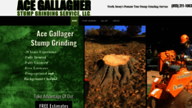 What Acegallagherstumpgrinding.com website looked like in 2019 (4 years ago)