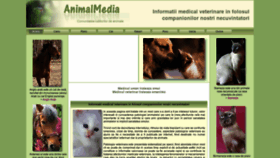 What Animalmedia.eu website looked like in 2019 (4 years ago)