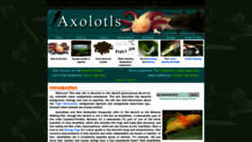 What Axolotl.org website looked like in 2020 (4 years ago)