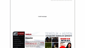 What Atasehirtemizlik.com website looked like in 2020 (4 years ago)
