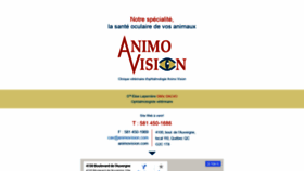 What Animovision.com website looked like in 2020 (4 years ago)