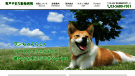 What Aotovet.com website looked like in 2020 (6 years ago)