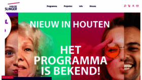What Aandeslinger.nl website looked like in 2020 (4 years ago)
