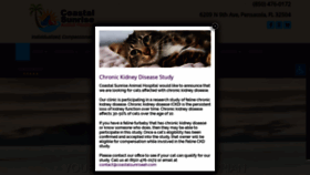 What Airportanimaldoc.com website looked like in 2020 (4 years ago)