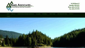 What Amesassociates.com website looked like in 2020 (4 years ago)