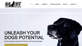 What Acdtacademy.com website looked like in 2020 (6 years ago)