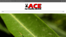 What Acepestcontrolservice.com website looked like in 2020 (4 years ago)