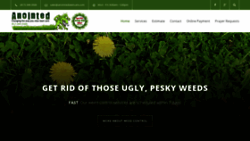 What Anointedlandscaping.com website looked like in 2020 (4 years ago)