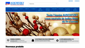 What Ausch-elec.fr website looked like in 2020 (4 years ago)