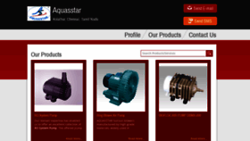 What Airpumps.in website looked like in 2020 (6 years ago)