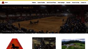 What Amishcountryhorses.com website looked like in 2020 (4 years ago)