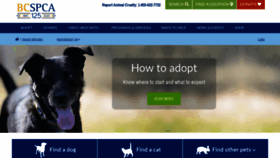 What Adopt.spca.bc.ca website looked like in 2020 (4 years ago)