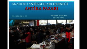 What Anadoluantikacilardernegi.com website looked like in 2020 (4 years ago)