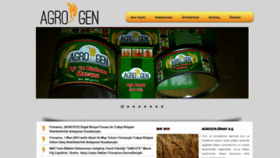 What Agrogen.com.tr website looked like in 2020 (4 years ago)