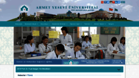 What Ayu.edu.tr website looked like in 2020 (4 years ago)
