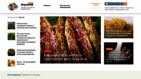 What Agronom.expert website looked like in 2020 (5 years ago)