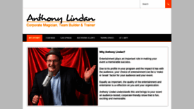 What Anthonylindan.com website looked like in 2020 (4 years ago)