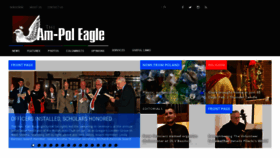 What Ampoleagle.com website looked like in 2020 (4 years ago)