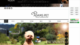 What Adamspet.co.kr website looked like in 2020 (4 years ago)