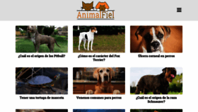 What Animalfiel.com website looked like in 2020 (4 years ago)