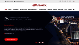 What Anatol.com website looked like in 2020 (4 years ago)