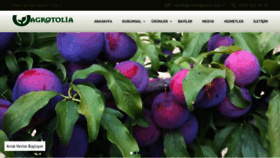 What Agrotoliagubre.com.tr website looked like in 2020 (4 years ago)