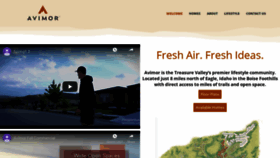 What Avimor.com website looked like in 2020 (4 years ago)