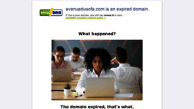 What Avenuedusofa.com website looked like in 2020 (4 years ago)