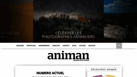What Animan.com website looked like in 2020 (4 years ago)