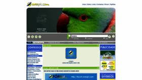 What Avespt.com website looked like in 2020 (4 years ago)